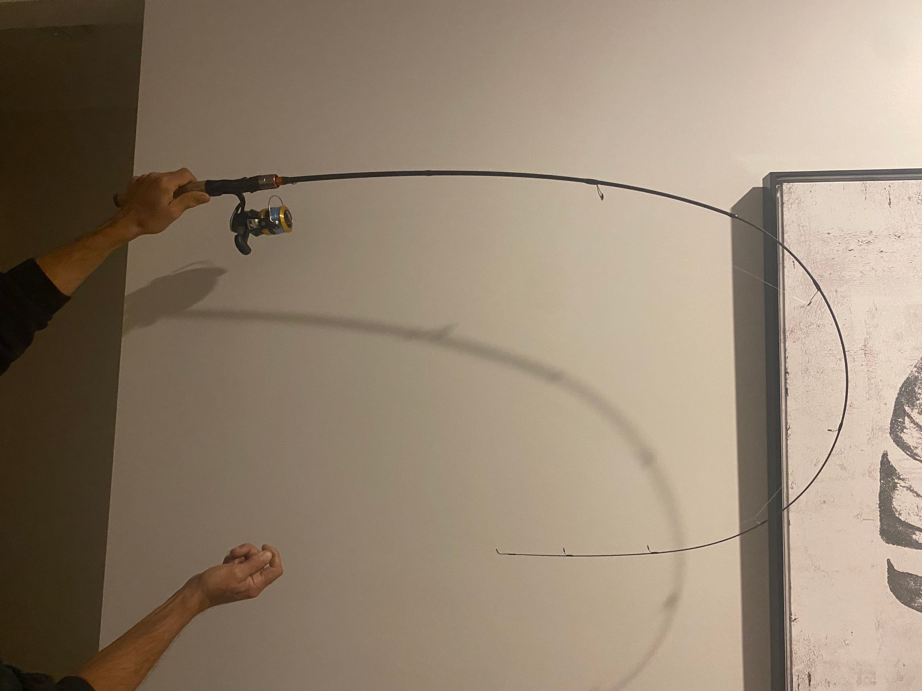 THE DONKEY ROD (pre-order)